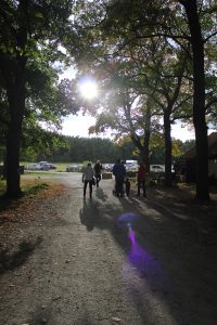 öland