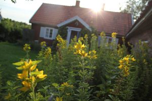 öland1